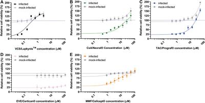 The Cyclophilin-Dependent Calcineurin Inhibitor Voclosporin Inhibits SARS-CoV-2 Replication in Cell Culture